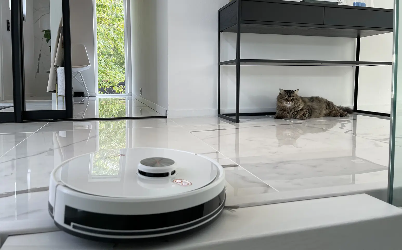 Robotdammsugare katthår med tvätt